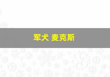 军犬 麦克斯